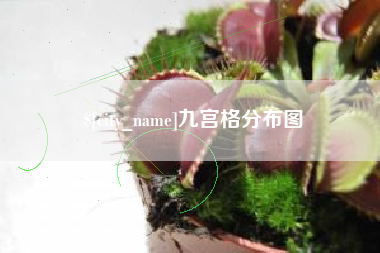 祁阳九宫格分布图