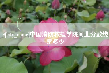 祁阳中国消防救援学院河北分数线是多少