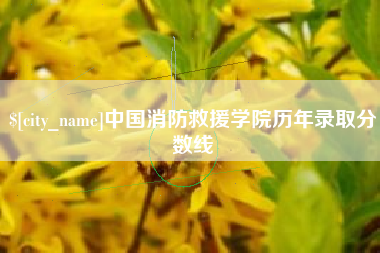 祁阳中国消防救援学院历年录取分数线