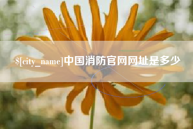 祁阳中国消防官网网址是多少