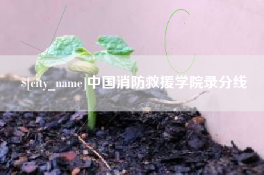 祁阳中国消防救援学院录分线