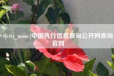 祁阳中国执行信息查询公开网查询官网