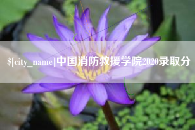 祁阳中国消防救援学院2020录取分