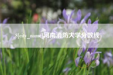 祁阳河南消防大学分数线