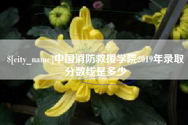 祁阳中国消防救援学院2019年录取分数线是多少