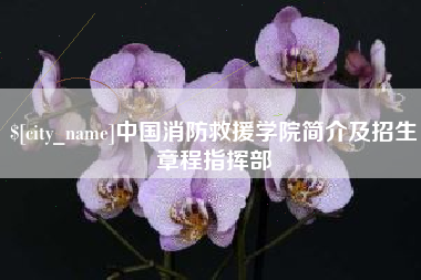 祁阳中国消防救援学院简介及招生章程指挥部