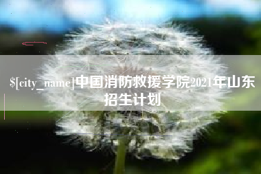 祁阳中国消防救援学院2021年山东招生计划
