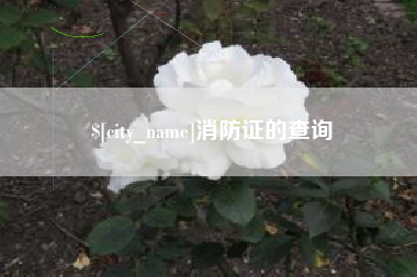 祁阳消防证的查询