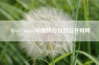 祁阳中国执行信息公开网网