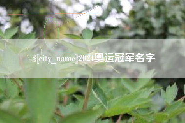 祁阳2024奥运冠军名字