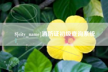 祁阳消防证初级查询系统