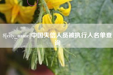 祁阳中国失信人员被执行人名单查询