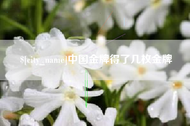 祁阳中国金牌得了几枚金牌
