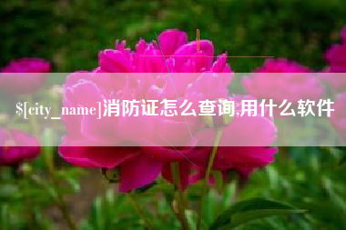祁阳消防证怎么查询,用什么软件