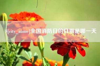 祁阳全国消防日的日期是哪一天