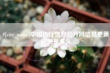 祁阳中国执行信息公开网信息更新时间是多久
