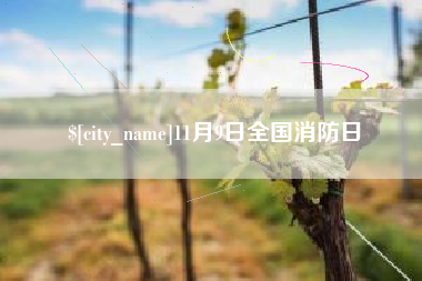 祁阳11月9日全国消防日