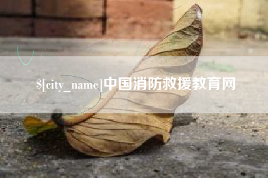 祁阳中国消防救援教育网