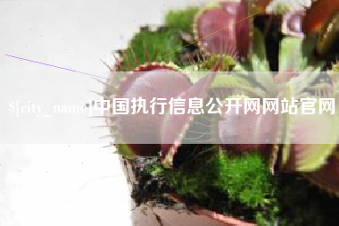 祁阳中国执行信息公开网网站官网