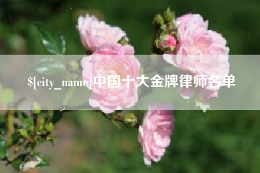 祁阳中国十大金牌律师名单