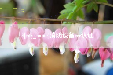 祁阳消防设备ccc认证