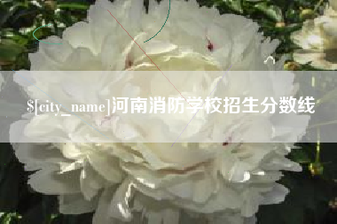 祁阳河南消防学校招生分数线