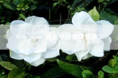 祁阳现在中国金牌是多少
