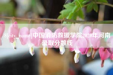 祁阳中国消防救援学院2020年河南录取分数线