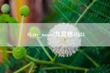 祁阳九宫格42633