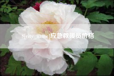 祁阳应急救援员价格