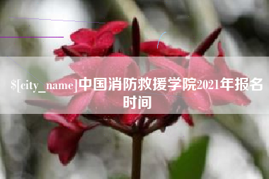 祁阳中国消防救援学院2021年报名时间