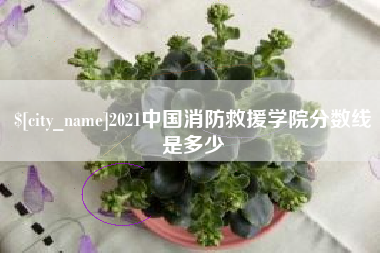 祁阳2021中国消防救援学院分数线是多少
