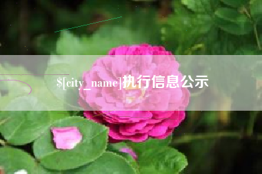 祁阳执行信息公示