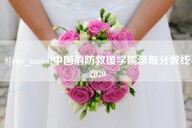 祁阳中国消防救援学院录取分数线2020