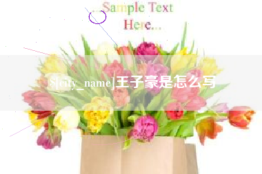 祁阳王子豪是怎么写