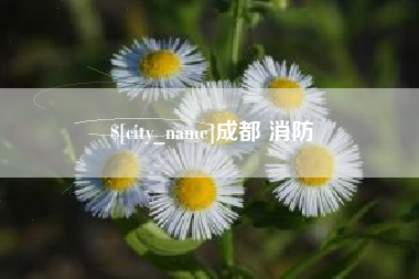 祁阳成都 消防