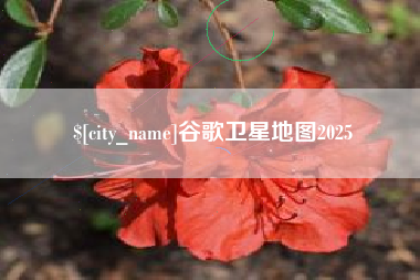 祁阳谷歌卫星地图2025