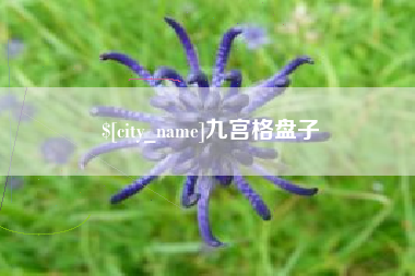 祁阳九宫格盘子