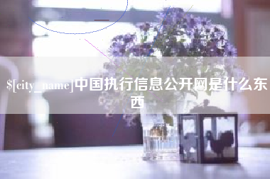 祁阳中国执行信息公开网是什么东西
