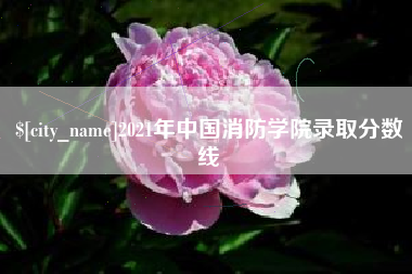 祁阳2021年中国消防学院录取分数线