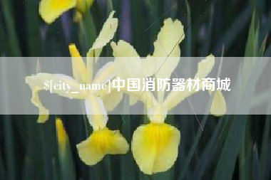 祁阳中国消防器材商城