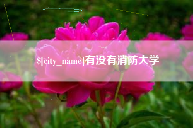 祁阳有没有消防大学