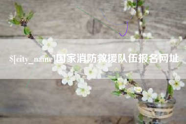 祁阳国家消防救援队伍报名网址