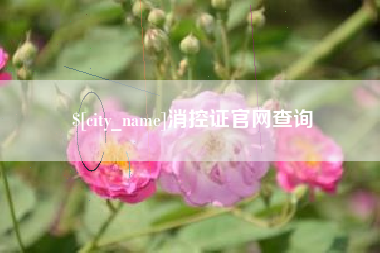 祁阳消控证官网查询