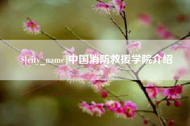 祁阳中国消防救援学院介绍