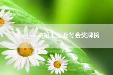 祁阳第七届亚冬会奖牌榜