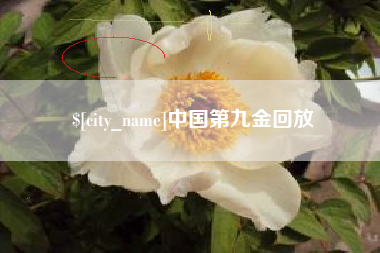 祁阳中国第九金回放