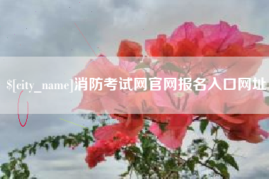 祁阳消防考试网官网报名入口网址