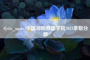 祁阳中国消防救援学院2021录取分数
