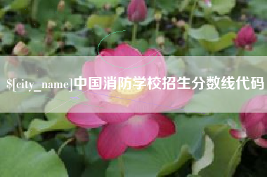 祁阳中国消防学校招生分数线代码